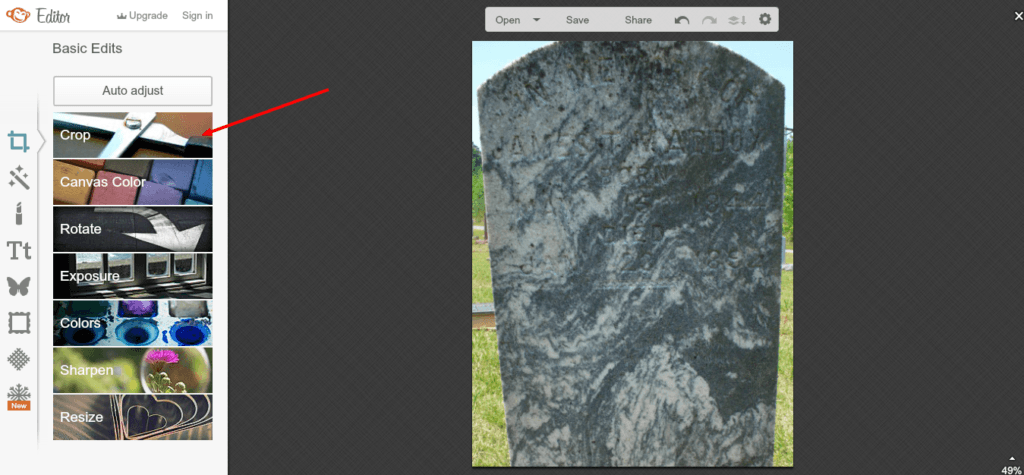 PM Maddox stone crop