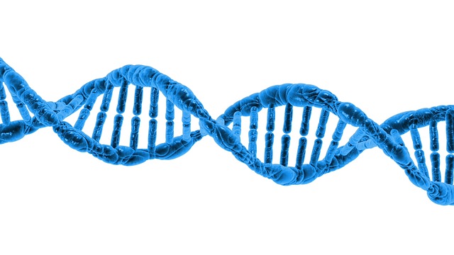 Blue depiction of DNA helix