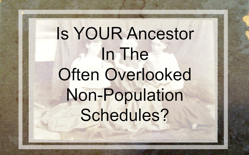 If your ancestor appears on the non-population schedules, you have a unique opportunity to learn more about them as individuals and their role in their community. In addition, the information you learn from a non-population schedule can point you to new clues and record sources not previously searched.
