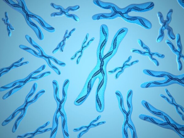 Blue tones of X-DNA