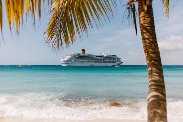 Cruise at sea as viewed from the shore with a palm tree.
