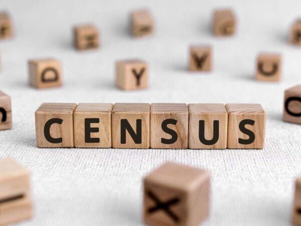 Letter blocks spelling out census